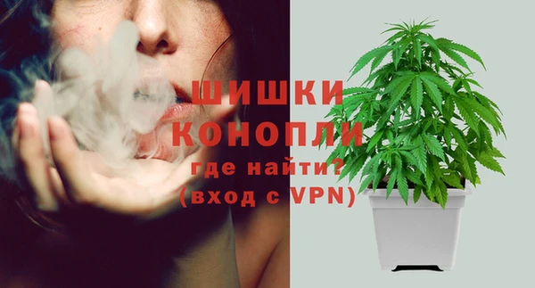 прущие грибы Зерноград