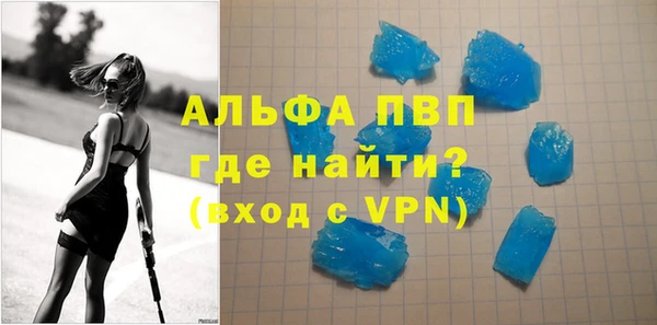 прущие грибы Зерноград