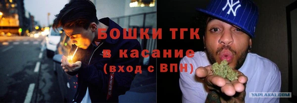 прущие грибы Зерноград
