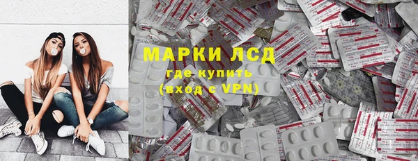 прущие грибы Зерноград