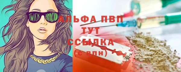 прущие грибы Зерноград