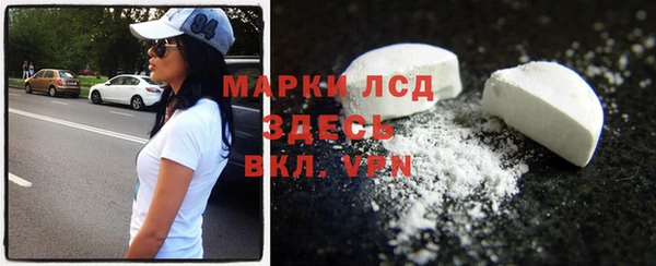 прущие грибы Зерноград
