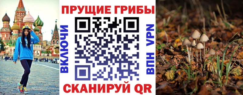 Купить  Елизово  Галлюциногенные грибы GOLDEN TEACHER 